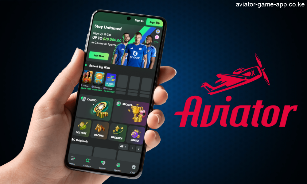 Go to the website of the chosen casino